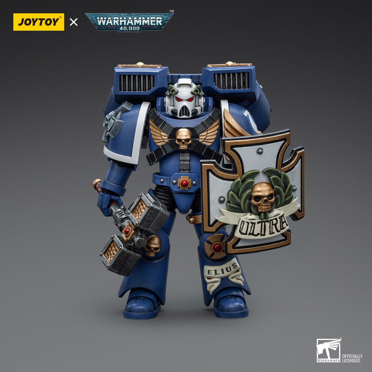 Ultramarines Vanguard Veteran with Thunder Hammer and Storm Shield