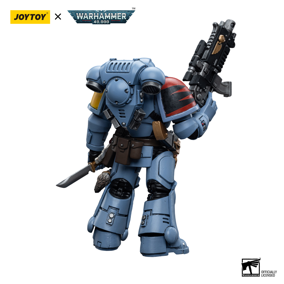 Space Wolves Intercessors