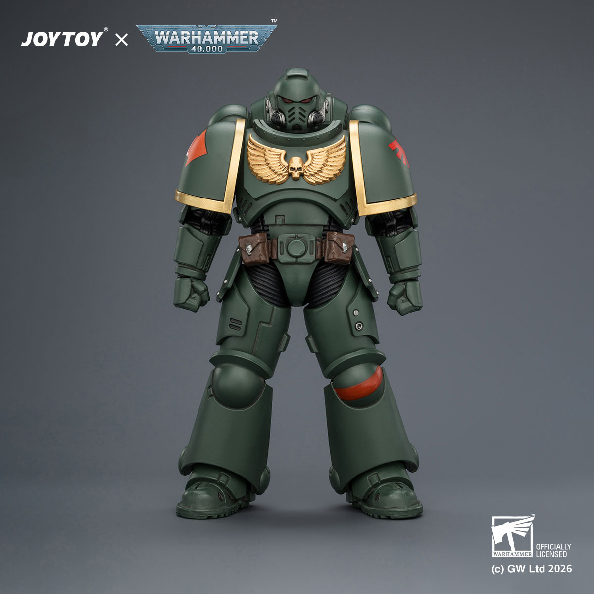 Dark Angels Intercessor with Bolt Rifle, Bolt Pistol and Chainsword